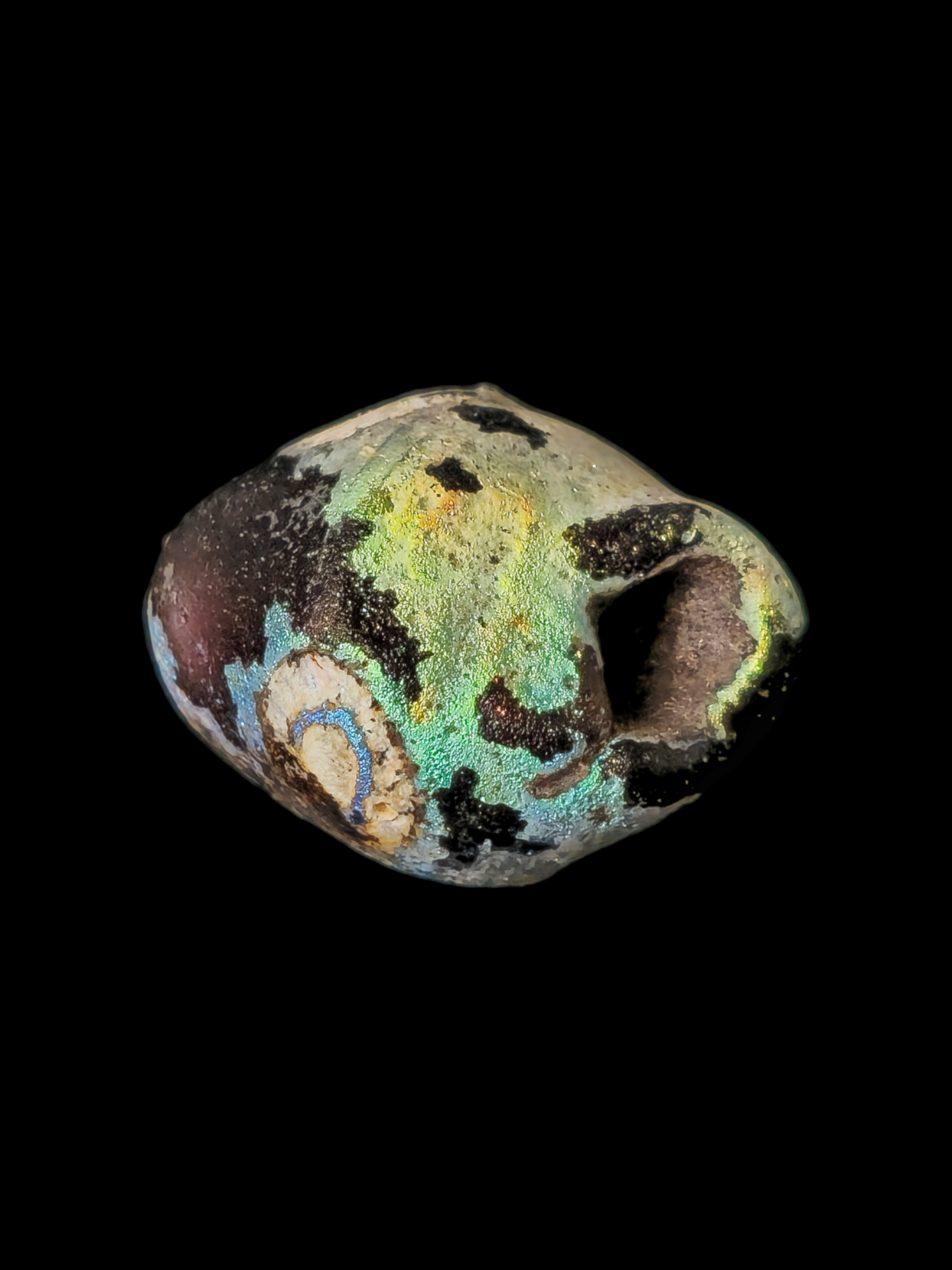 Phoenician glass bead